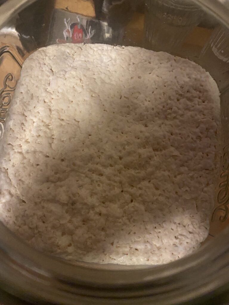 LAB (Lactic acid bacteria)