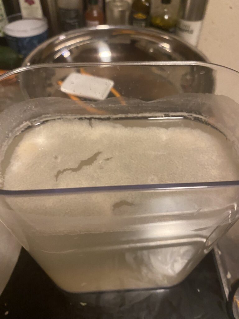 LAB (Lactic acid bacteria)