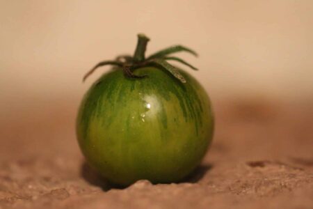 Emerald Green Cherry