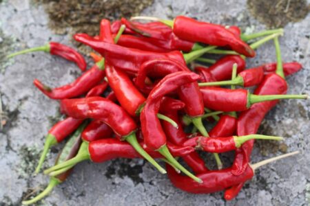 Thai Red