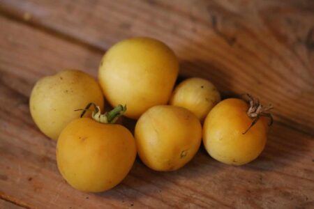 Garden Peach