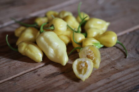 Naga White