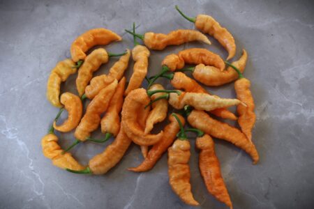 Bhut Jolokia Peach