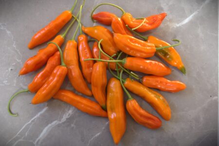 Aji Amarillo