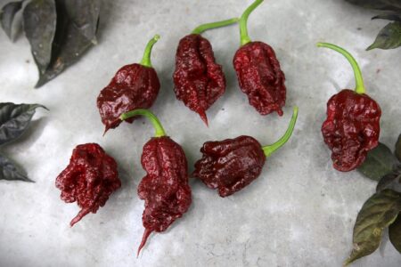 Carolina Reaper Chocolate