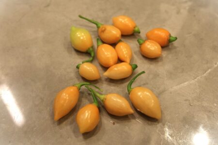 Chupetinho Peach
