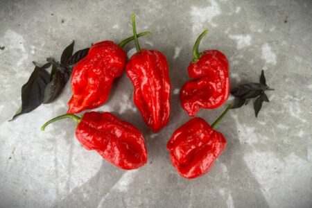Stuffing Scotch Bonnet