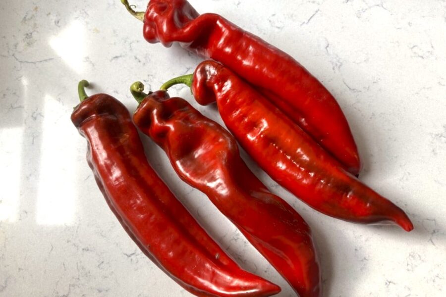 Röda Ramiro Bell Red-paprikor på grillen