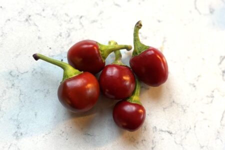 Bacio di Satana
